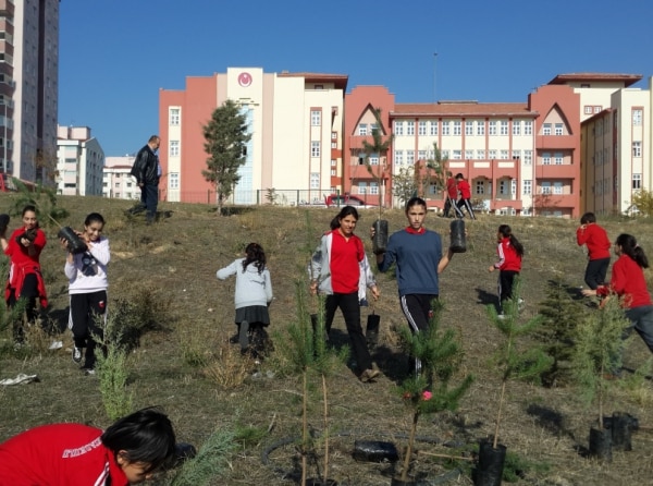 Şehit Hamza Yıldırım Ortaokulu Ağaç Dikme Kampanyası
