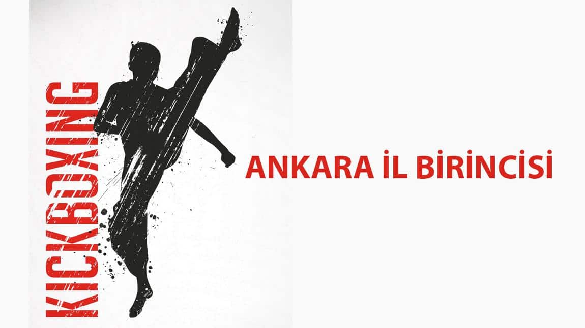 KickBoks Ankara İl Birincisi