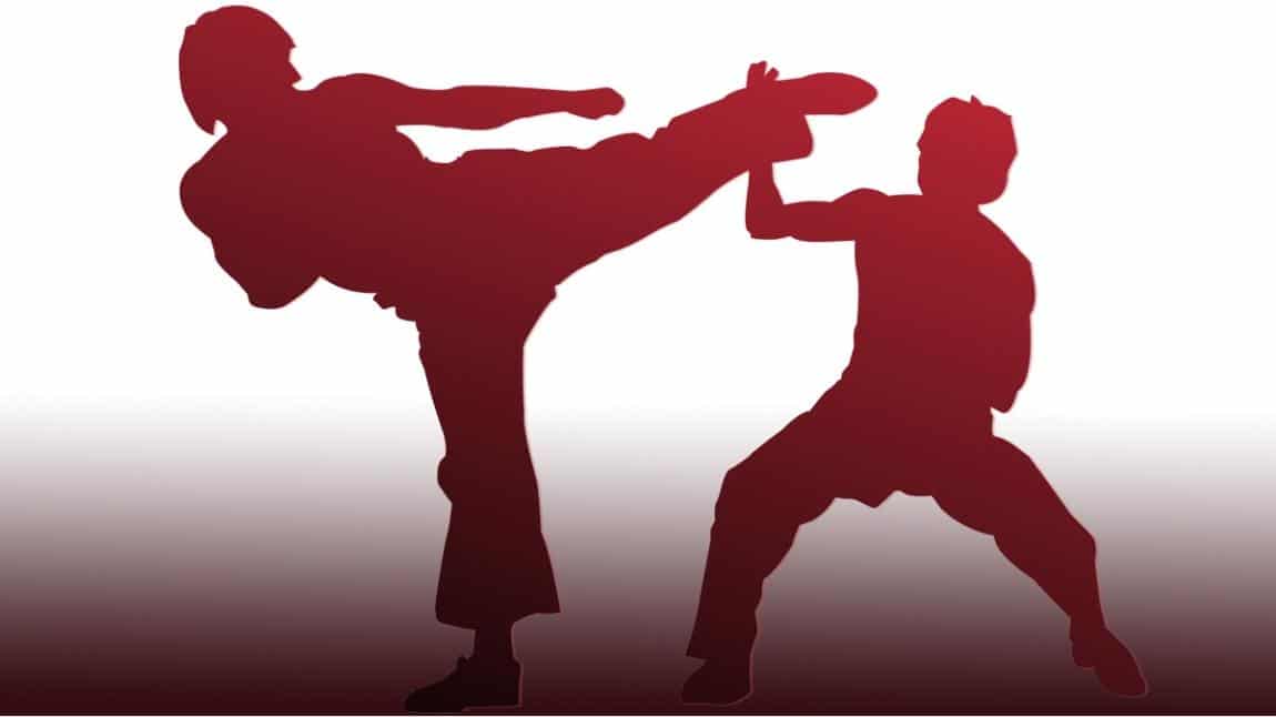 Ankara Karate İl Şampiyonası 